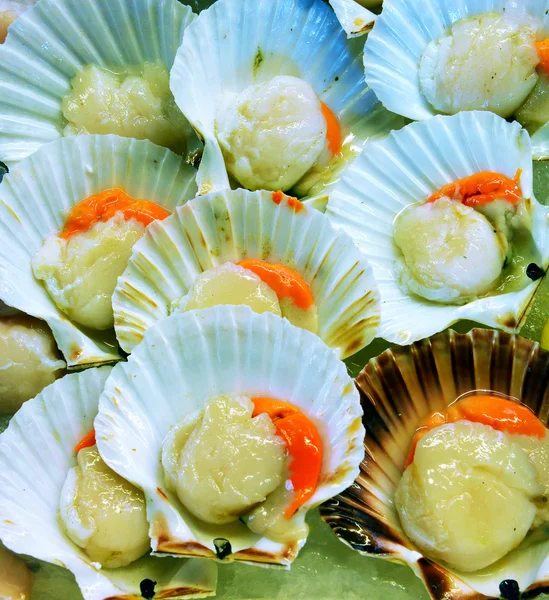 Scallops in the shell — Stock Photo, Image