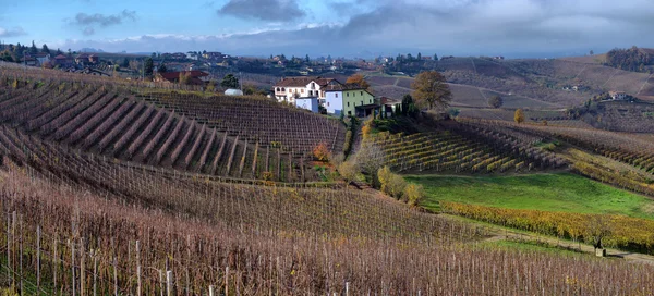 Piemonte vingårdar auttumn — Stockfoto