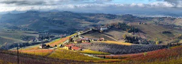 Piemontesische Weinberge — Stockfoto