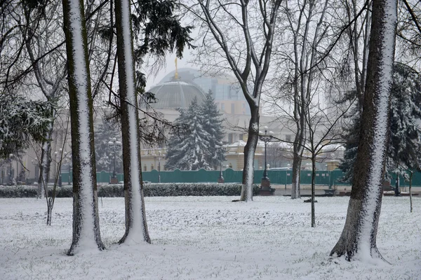 Parque de invierno Mariinsky — Foto de Stock