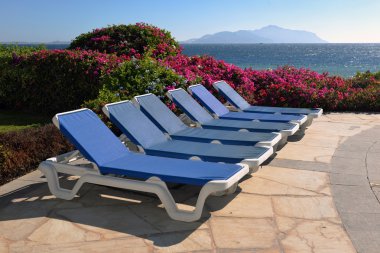 Yüzme Havuzu, güneşlenme yatakları Hotel