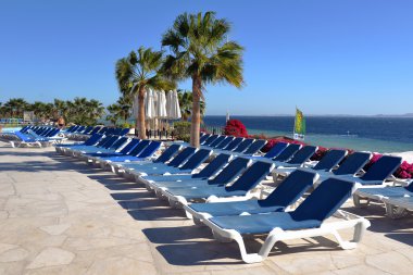 Afrika, Mısır, 12 Ocak 2016, Yüzme Havuzu güneşlenme yatakları ile 