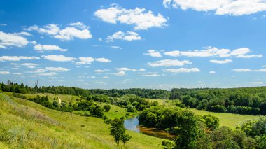 Kıyıları yoğun bitki örtüsüyle kaplı bir nehir manzarası