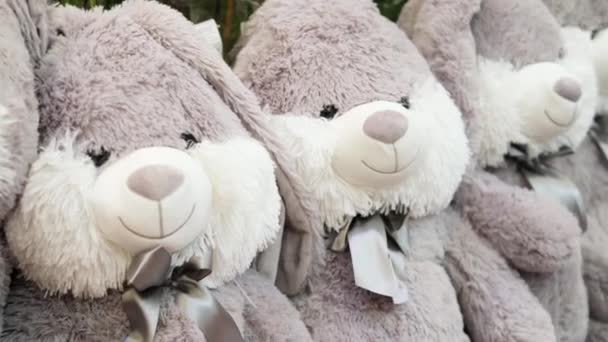 Bir sürü pelüş tavşan bir oyuncakçının tezgahında oturuyor. Çocuklar için hediyeler — Stok video