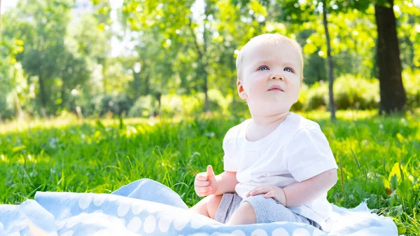 어느 여름날 화창 한 날 공원의 푸른 잔디 위에 앉아 있는 남자 아이의 사진. 아이들 과 함께 걷는다는 개념 — 스톡 사진