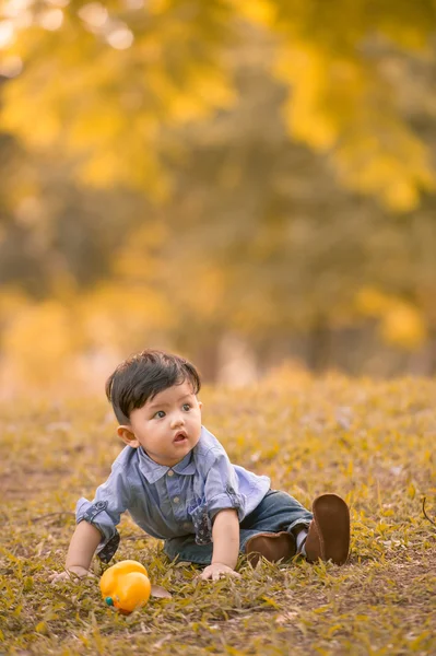 Asiatico 10-mese vecchio ragazzo avendo divertente all'aperto — Foto Stock