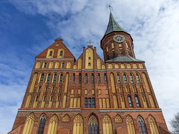 Cathédrale Gothique Tombeau Kant Kaliningrad — Photo