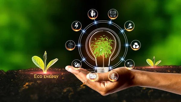 Eco Energy Concept Ambiente Verde Con Center Spoke Concept Impianto — Foto Stock