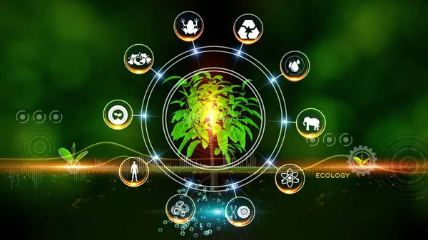 Екологія Концепція Зелене Середовище Центром Розмовляв Концепція Рослина Центрі Обертаються — стокове фото