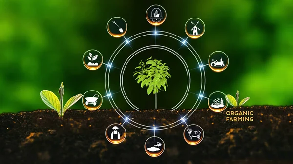 Ökologischer Landbau Konzept Grüne Umwelt Mit Zentrum Und Speiche Konzept Stockfoto