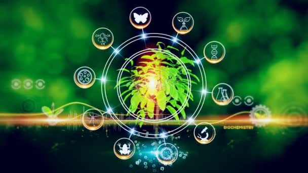 生物化学概念绿色环境与中心和说话概念 中心植物和旋转图标 — 图库视频影像