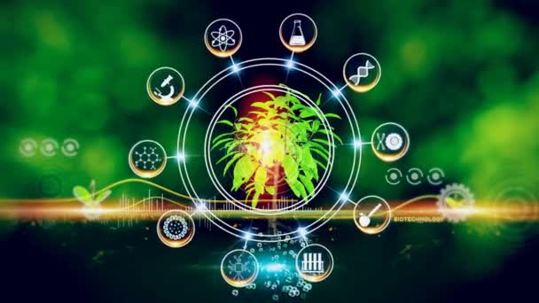 Koncepcja Biotechnologii Zielone Środowisko Centrum Mówił Concept Roślina Środku Obracające — Wideo stockowe