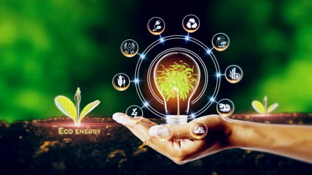 Eco Energy Concept Zöld Környezet Központtal Küllővel Koncepció Növény Központban — Stock videók