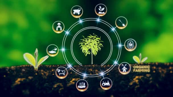 Organic Farming Concept Zöld Környezet Központtal Beszélt Koncepció Növény Központban — Stock videók