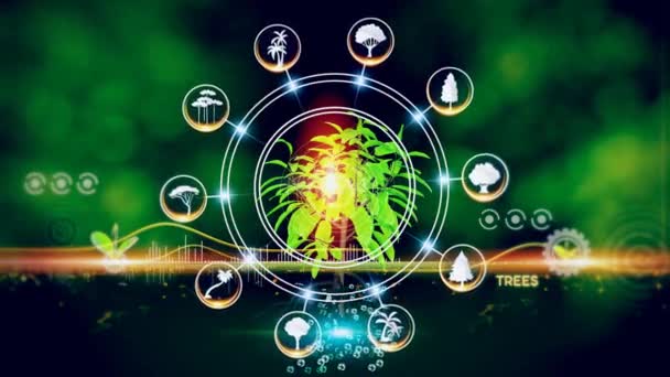 Stromy Icon Concept Zelené Prostředí Centrem Mluvil Koncept Rostlina Střed — Stock video