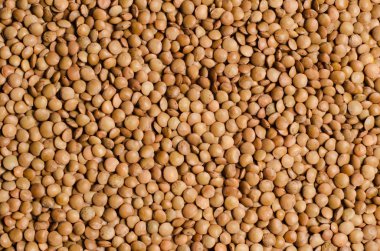 Fasulye mercimek dikdörtgen dokusuna