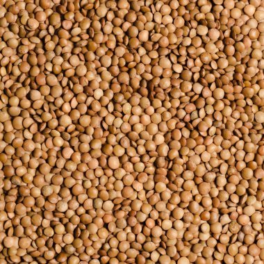 Mercimek taneleri kare doku