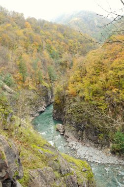 Kafkasya 'daki dağ nehri