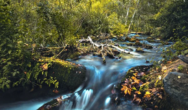 Hermón Arroyo Banias Fondo Del Río — Foto de Stock