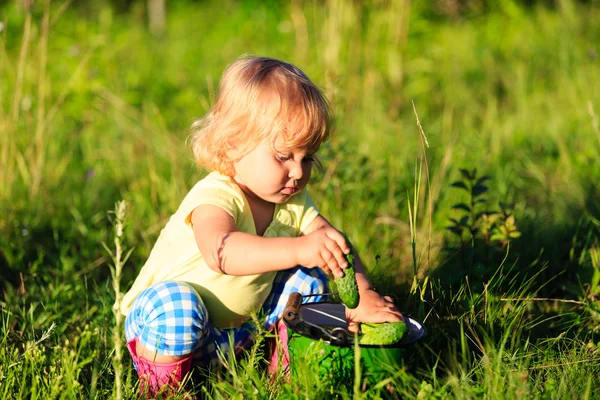 정원에서 오이 수확 하는 어린 소녀 — 스톡 사진