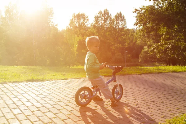 Menino pedalando bicicleta ao pôr do sol — Fotografia de Stock