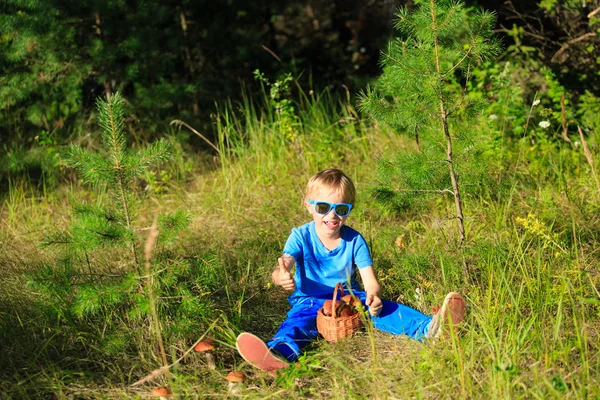 Anak kecil memetik jamur di hutan hijau — Stok Foto