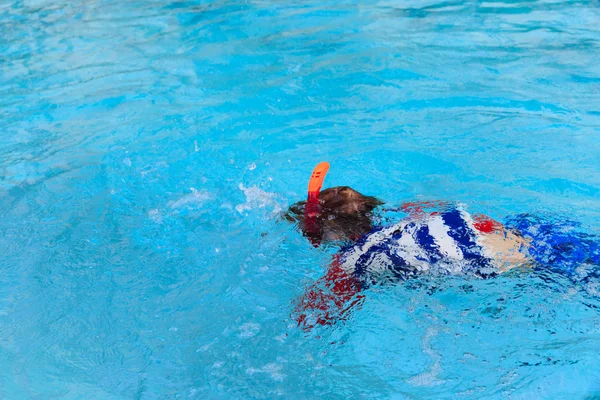 Menino aprende a nadar sozinho na piscina — Fotografia de Stock