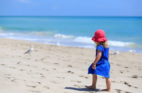 Little girl walk on sand beach — Stock Photo, Image