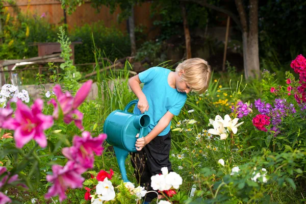 Niño regando flores en el jardín — Foto de Stock