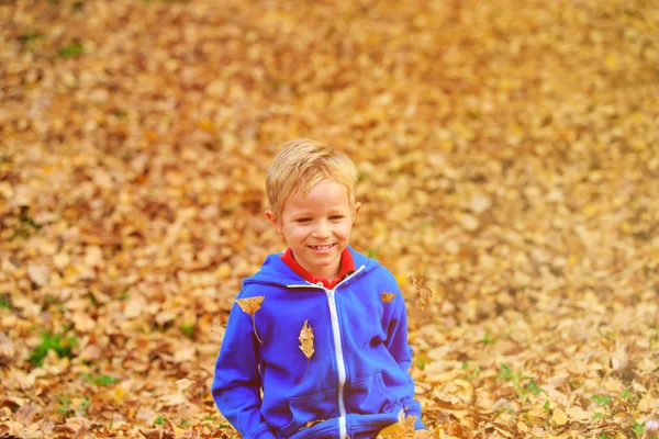Pequeno menino feliz divertido em folhas de outono — Fotografia de Stock