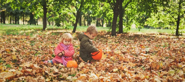 Kisfiú és a lány játszani őszi levelek, a természet — Stock Fotó