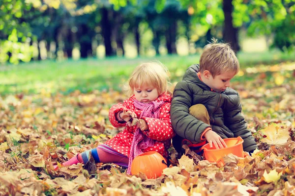 Küçük erkek ve kız doğada sonbahar yaprakları ile oynamak — Stok fotoğraf