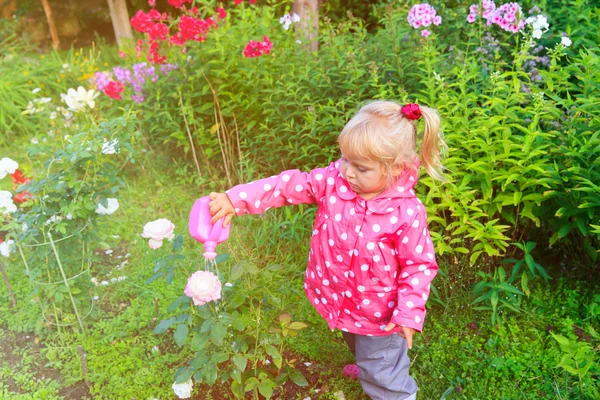 Gadis kecil menyiram bunga di kebun — Stok Foto