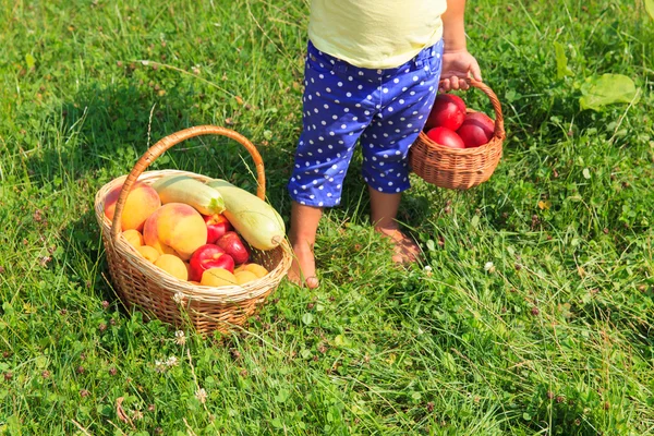 Gadis kecil memetik buah-buahan dan sayuran di musim panas . — Stok Foto