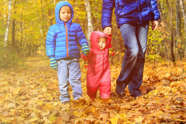 Apa és fia és lánya az őszi séta — Stock Fotó