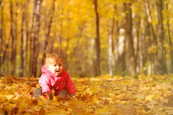 Little girl in autumn leaves — Stock Photo, Image