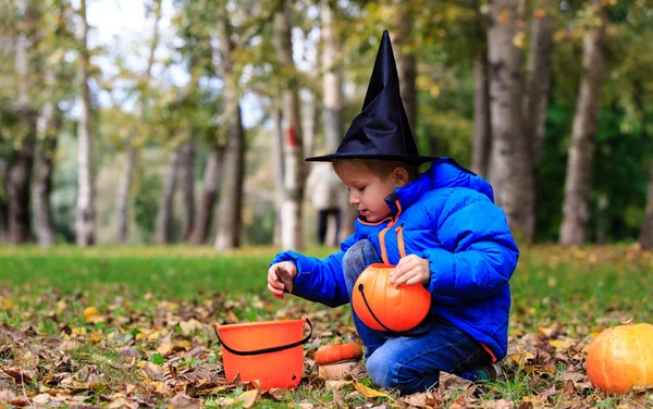 Küçük çocuk içinde halloween kılık — Stok fotoğraf