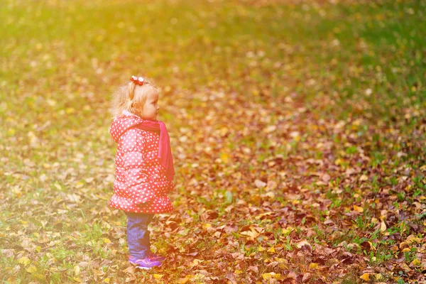 Schattig klein meisje lopen in herfst bladeren — Stockfoto