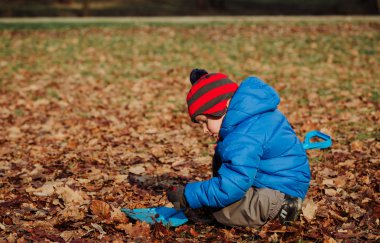 küçük çocuk sonbahar yaprakları ile oynamak