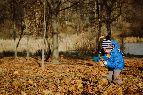 Little boy playing with leaves in autumn — Stock Photo, Image