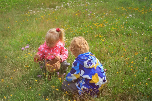 Kleine Jungen und Mädchen sammeln Blumen in der grünen Natur — Stockfoto