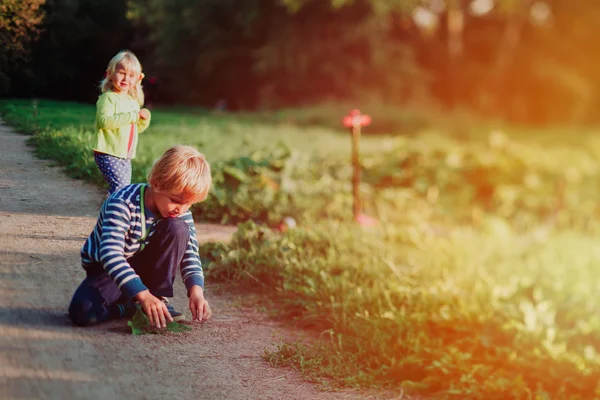 Liten pojke och flicka som leker i sommar naturen — Stockfoto