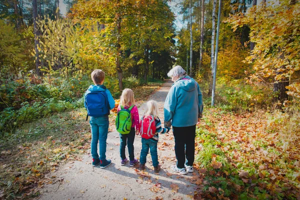 Abuela con niños caminar en otoño naturaleza —  Fotos de Stock