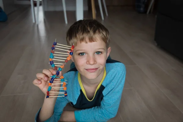 Çubuk ve kil, mühendislik ve BTMM 'den DNA modeli yapan çocuk — Stok fotoğraf