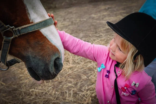 Niña tocando caballo grande en granja — Foto de Stock