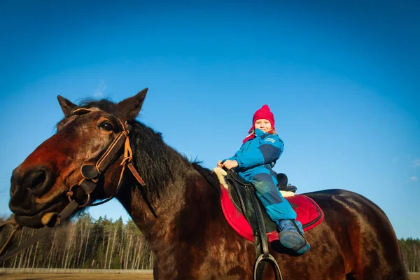 Feliz linda chica en paseo a caballo en la naturaleza — Foto de Stock