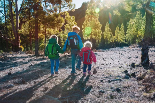Crianças-menino e meninas-viagem na natureza, caminhadas em família nas montanhas — Fotografia de Stock