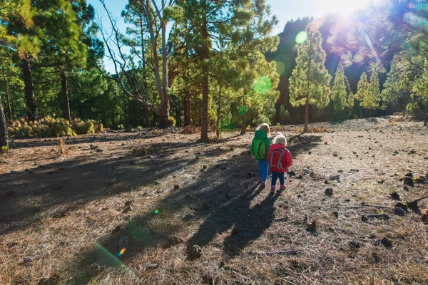 Små flickor reser i naturen, familj vandring i bergen — Stockfoto