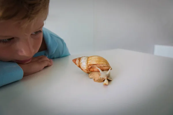 boy looking at giant snail, kid learn animals