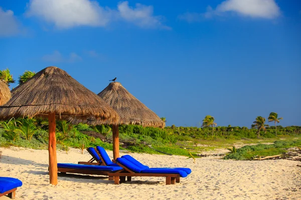 Пляжні стільці на узбережжі Карибського моря — стокове фото